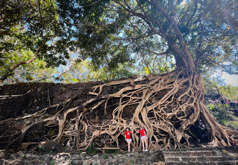 Nhiều du khách không khỏi choáng ngợp trước cây si có bộ rễ 