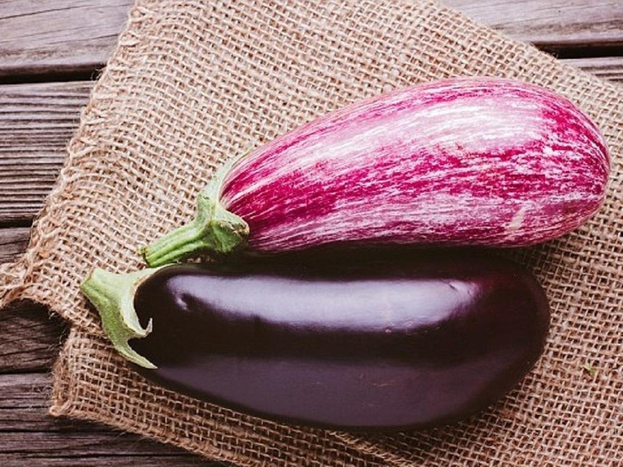 Cà tím có nhiều dinh dưỡng nhưng không nên ăn quá nhiều vì có solanine gây độc với cơ thể. Ảnh: Shutterstock