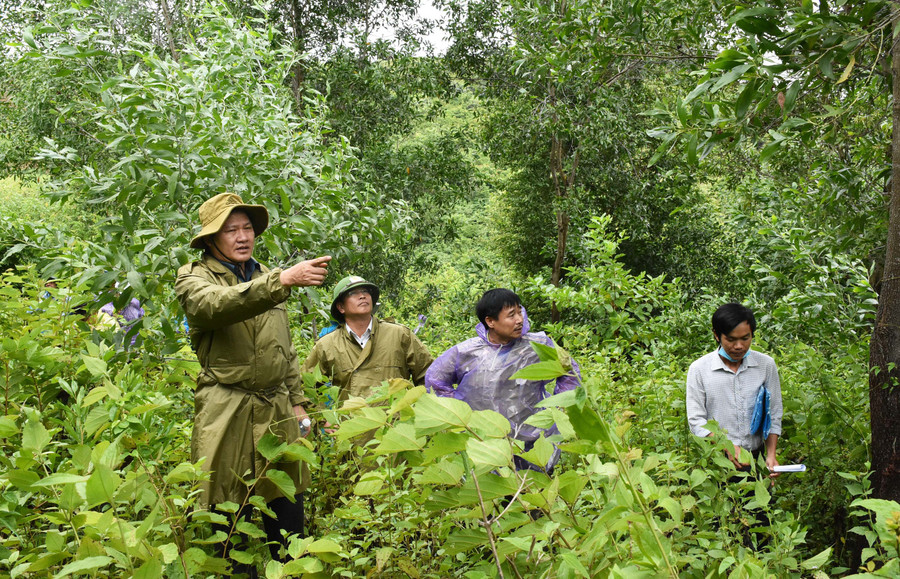Đoàn giám sát HĐND tỉnh do Ủy viên Ban Thường vụ Tỉnh ủy, Phó Chủ tịch Thường trực HĐND tỉnh Gia Lai Trương Văn Đạt làm trưởng đoàn đi khảo sát thực tế tại xã Đất Bằng, huyện Krông Pa. Ảnh: Hà Phương