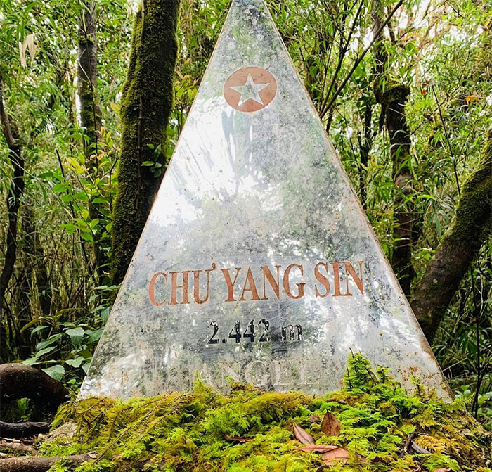 Chư Yang Sin là ngọn núi thiêng luôn kích thích sự trải nghiệm đối với người ưa khám phá.