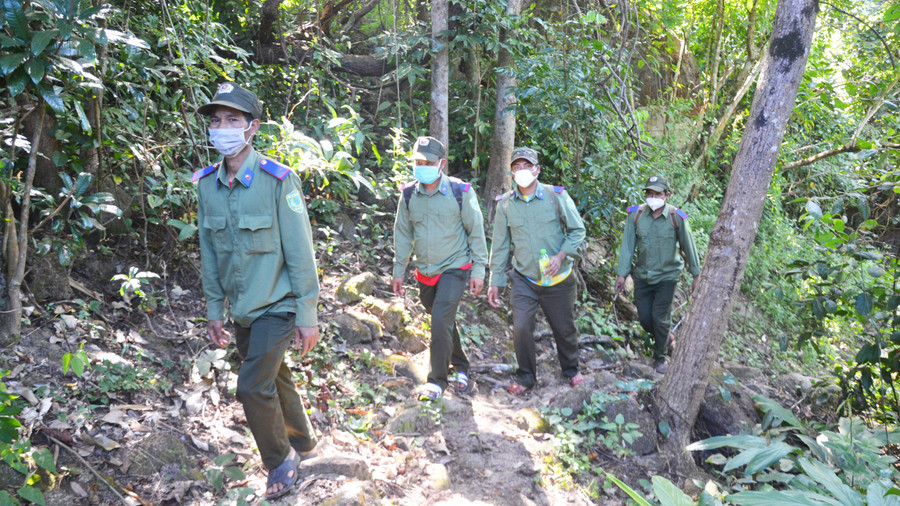 Tổ quản lý, bảo vệ rừng xã Ia Pếch tuần tra trên núi Chư Kraih, huyện Ia Grai. Ảnh: Hoàng Cư