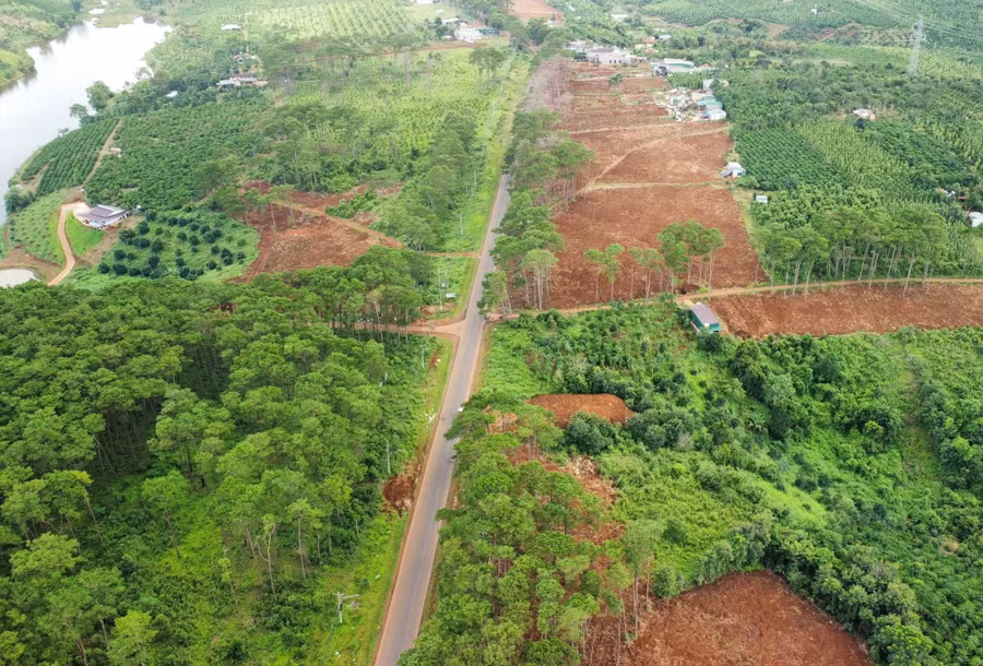 Các ngành chức năng đang tiến hành các bước phục hồi lại rừng cảnh quan cho Quốc lộ 28. Ảnh: Lê Phước