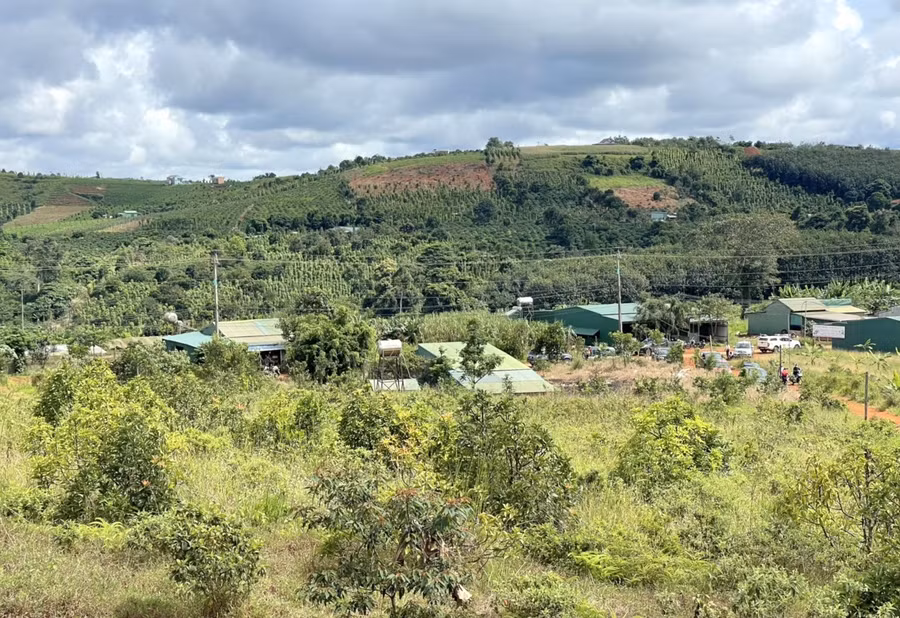 Phần lớn diện tích đất sạch ở Cụm công nghiệp - Tiểu thủ công nghiệp Quảng tâm đã bị lấn chiếm để trồng cây cối và dựng nhà để ở. Ảnh: Phan Tuấn