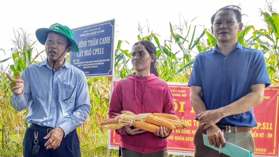 Ông Nguyễn Văn Hợp-Trưởng phòng NN&PTNT huyện (bìa trái) tại hội thảo đánh giá hiệu quả kinh tế mô hình ngô lai tại làng H Văc, xã Ayun. Ảnh: Hoàng Viên