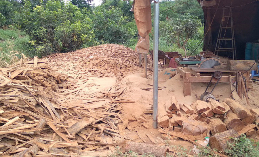 Số dăm gỗ và mùn cưa tài xưởng gỗ. Ảnh: Lê Anh