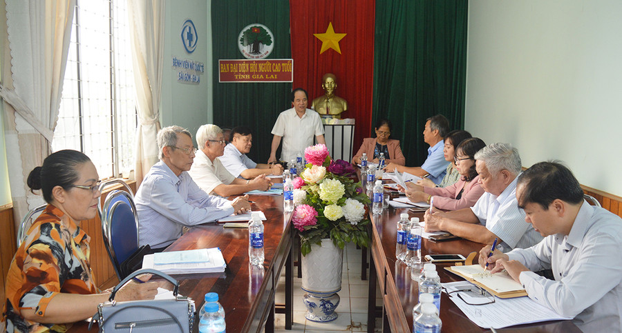  Phó Chủ tịch Trung ương Hội NCT Việt Nam phát biểu tại buổi làm việc. Ảnh: Anh Huy