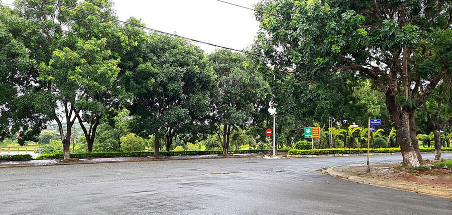 Tại huyện Đak Pơ xuất hiện những cơn mưa nhỏ. Ảnh: Ngọc Sang