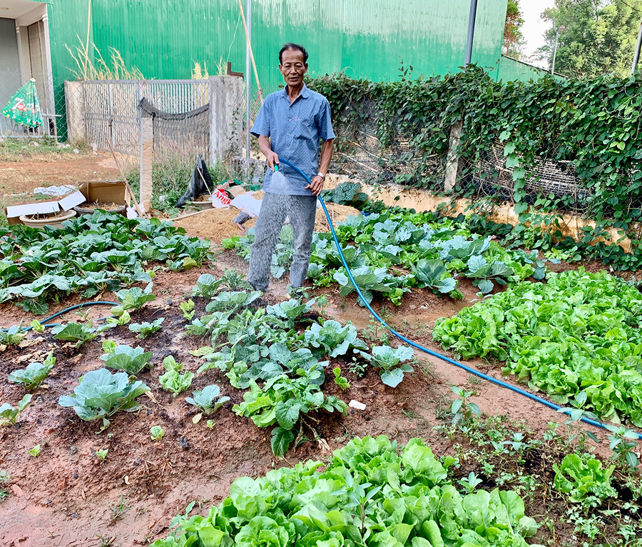 Hiện người nông dân hoàn toàn có thể chủ động kiểm định dư lượng thuốc bảo vệ thực vật trên các sản phẩm rau quả bằng hệ thống thiết bị Sắc ký khí. Ảnh: Hà Duy