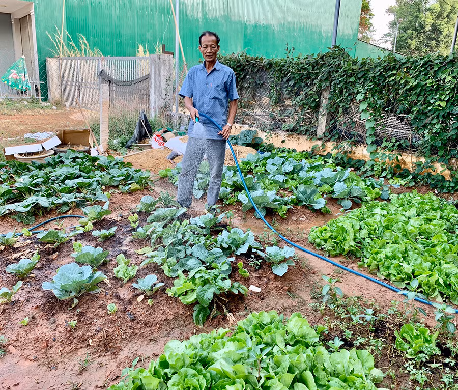 Hiện người nông dân hoàn toàn có thể chủ động kiểm định dư lượng thuốc bảo vệ thực vật trên các sản phẩm rau quả bằng hệ thống thiết bị Sắc ký khí. Ảnh: Hà Duy