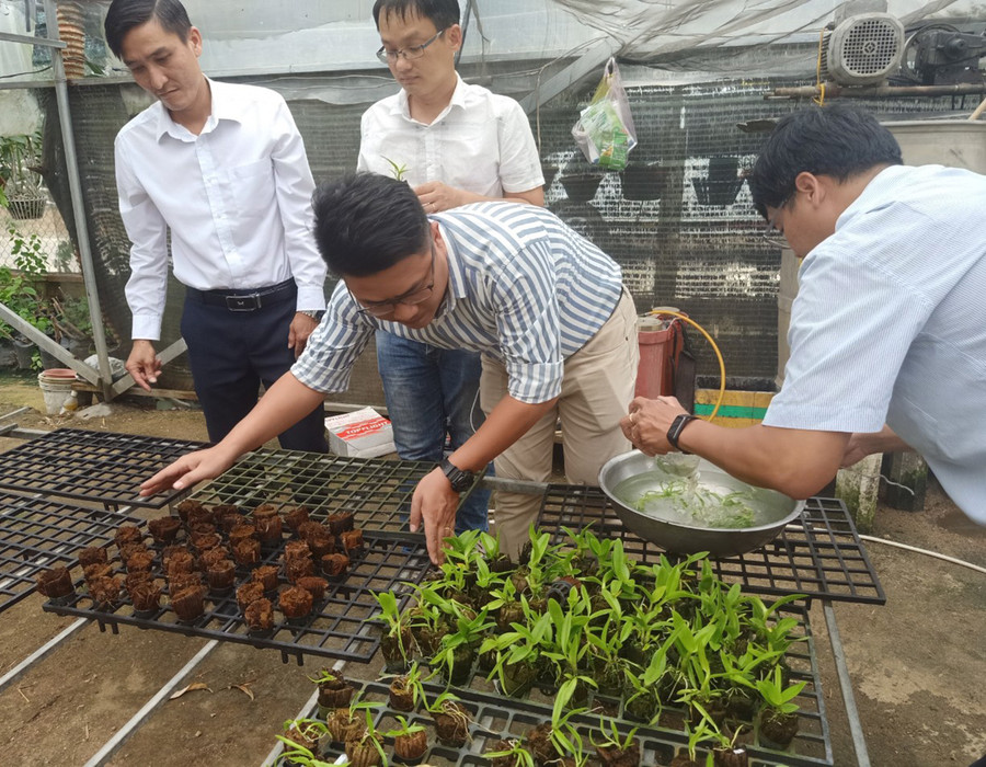  Cán bộ kỹ thuật Trung tâm Công nghệ sinh học hướng dẫn người dân huyện Đak Pơ cách trồng hoa lan Dendrobium. Ảnh: Phạm Ngọc