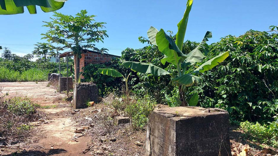 Nền xi măng và những trụ chân đế dựng vì kèo nhà máy chế biến trà hiện còn sót lại. Ảnh: Kiên Hoàng Nền xi măng và những trụ chân đế dựng vì kèo nhà máy chế biến trà hiện còn sót lại. Ảnh: Kiên Hoàng