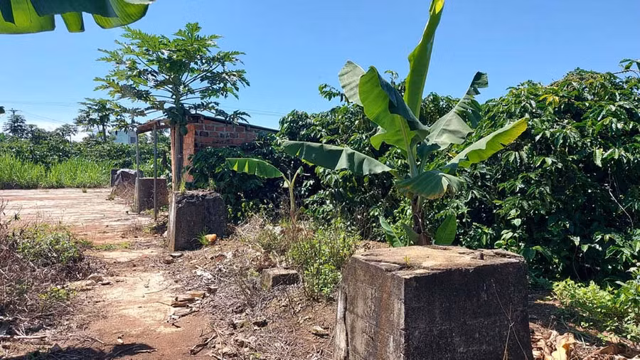 Nền xi măng và những trụ chân đế dựng vì kèo nhà máy chế biến trà hiện còn sót lại. Ảnh: Kiên Hoàng