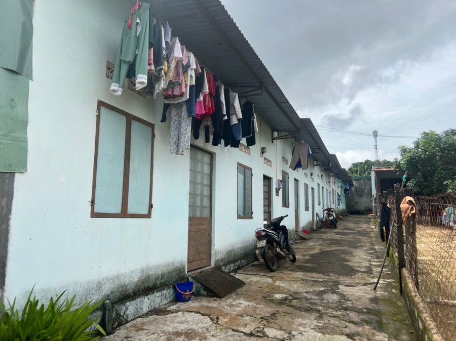 Nhà trọ của người lao động ở TP. Pleiku. Ảnh: Đinh Yến