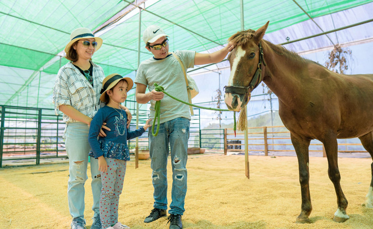  Khu tham quan, giải trí cùng gia đình