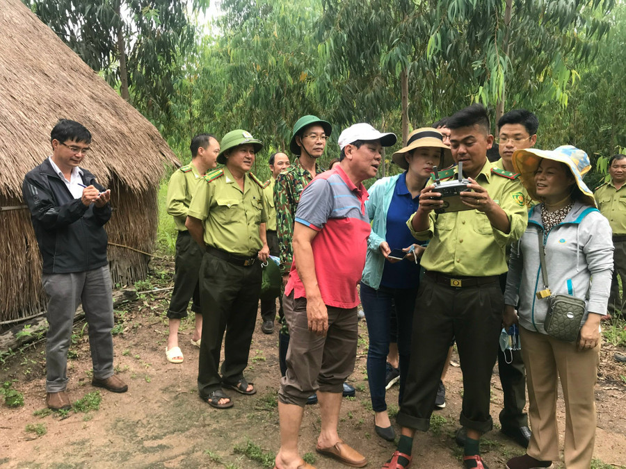 Ông Nguyễn Đình Phương-Trưởng Ban Kinh tế-Ngân sách HĐND tỉnh giám sát rừng trồng tại huyện Chư Prông thông qua Flycam. Ảnh: Nguyễn Hồng