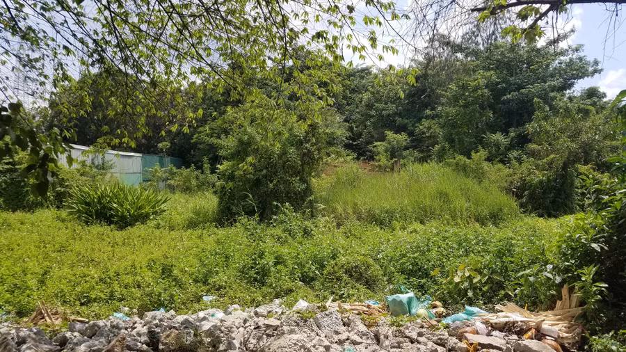 Khu vực nơi phát hiện thi thể trong tư thế treo cổ. Ảnh: Trần Kha 