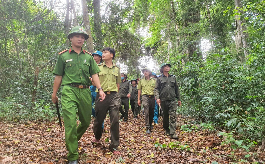 Lực lượng Kiểm lâm, Công an xã và đơn vị chủ rừng tổ chức tuần tra bảo vệ rừng. Ảnh: Minh Nguyễn