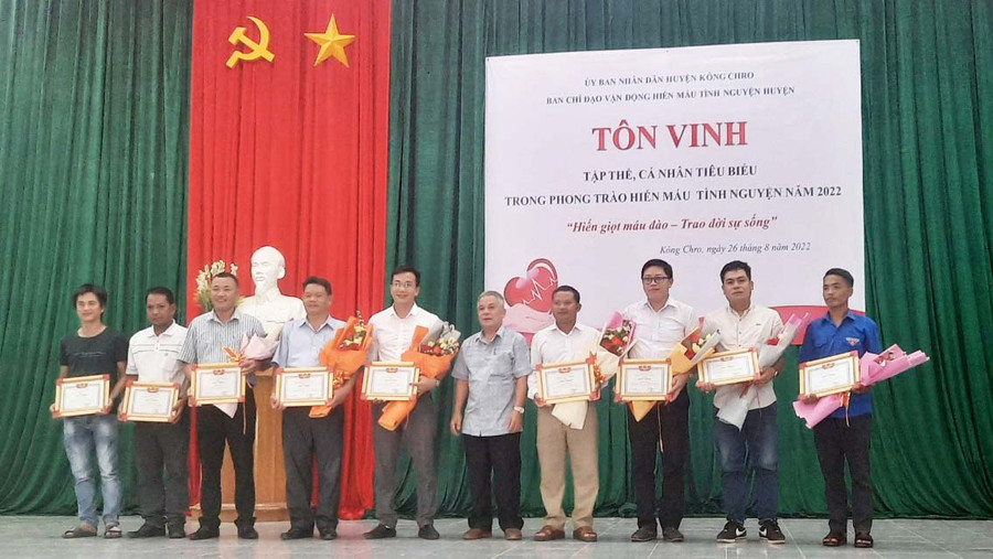 Tặng giấy khen cho các tập thể, cá nhân có thành tích trong phong trào HMTN. Ảnh: Hồng Ngọc