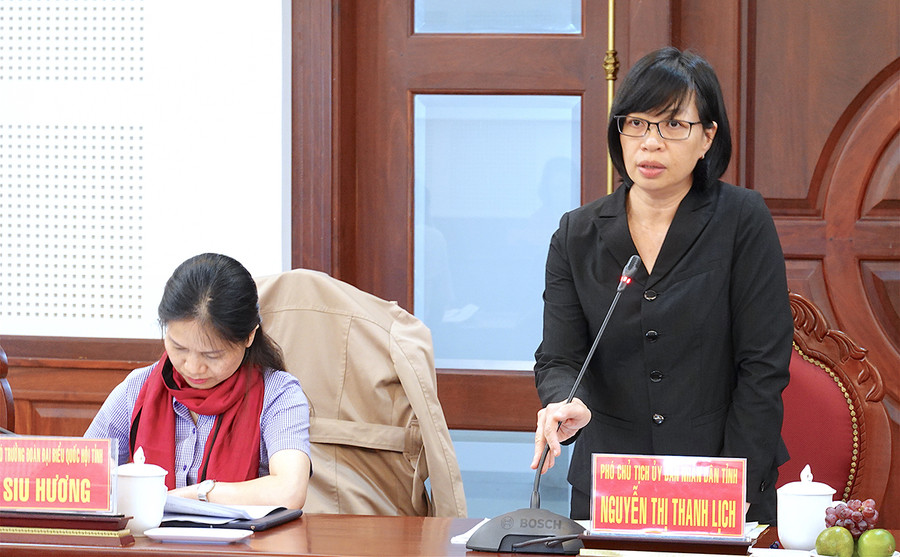2Phó Chủ tịch UBND tỉnh Nguyễn Thị Thanh Lịch phát biểu tại buổi làm việc. Ảnh Mộc Trà