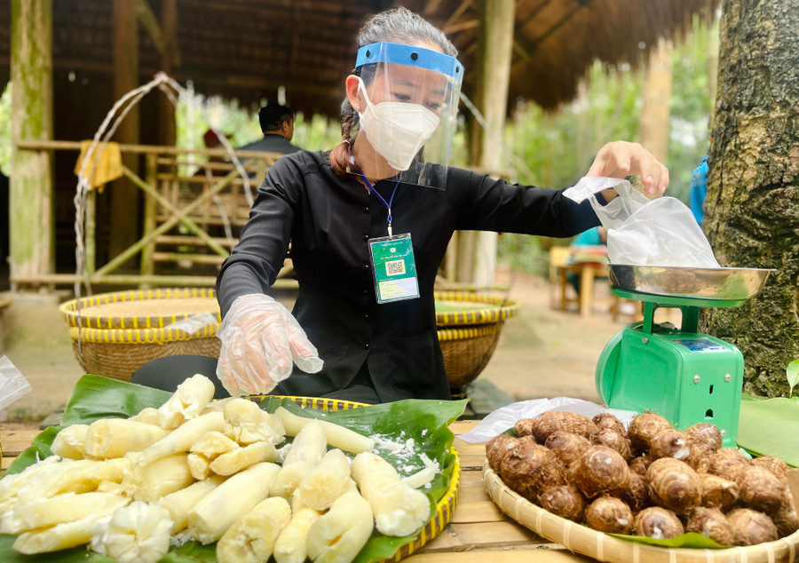 Khoai mì - đặc sản Củ Chi. Ảnh: Vũ Phượng Khoai mì - đặc sản Củ Chi. Ảnh: Vũ Phượng