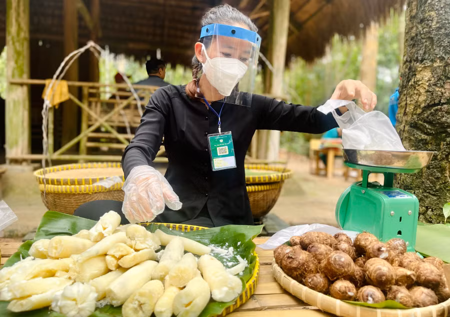 Khoai mì - đặc sản Củ Chi. Ảnh: Vũ Phượng Khoai mì - đặc sản Củ Chi. Ảnh: Vũ Phượng