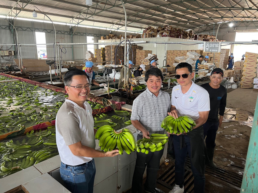 "HAGL giờ cứ đẩy đàn heo lên là đẩy diện tích chuối lên. Lãi là ở đó" - bầu Đức nói. Ảnh: HAGL "HAGL giờ cứ đẩy đàn heo lên là đẩy diện tích chuối lên. Lãi là ở đó" - bầu Đức nói. Ảnh: HAGL