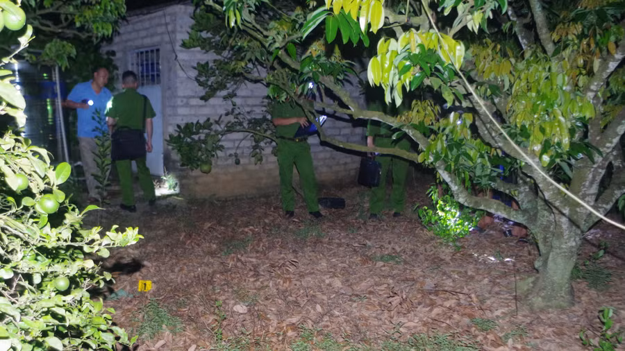 Hiện trường vụ việc. Ảnh nguồn TNO