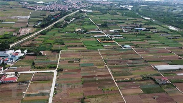 Ảnh minh họa: Vũ Sinh/TTXVN Ảnh minh họa: Vũ Sinh/TTXVN