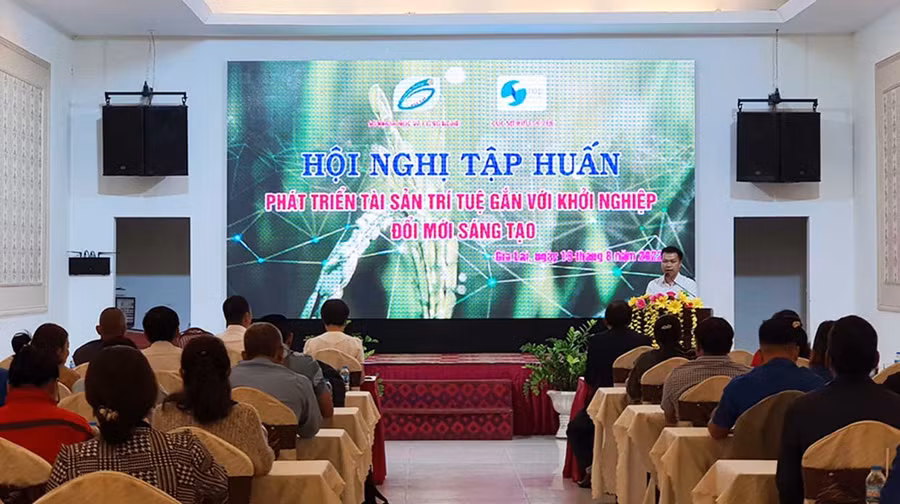 100 học viên tham gia lớp tập huấn sở hữu trí tuệ. Ảnh: Thiên Di 100 học viên tham dự lớp tập huấn sở hữu trí tuệ. Ảnh: Thiên DI