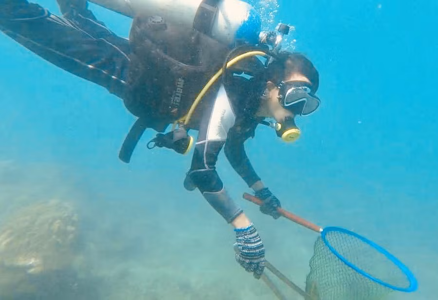 Hoạt động dọn vệ sinh đáy biển Cù Lao Chàm. Ảnh nguồn Báo Quảng Nam