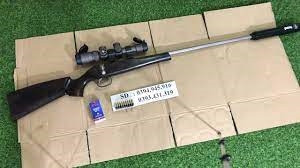 Súng thể thao. Ảnh minh họa.