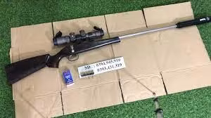 Súng thể thao. Ảnh minh họa.