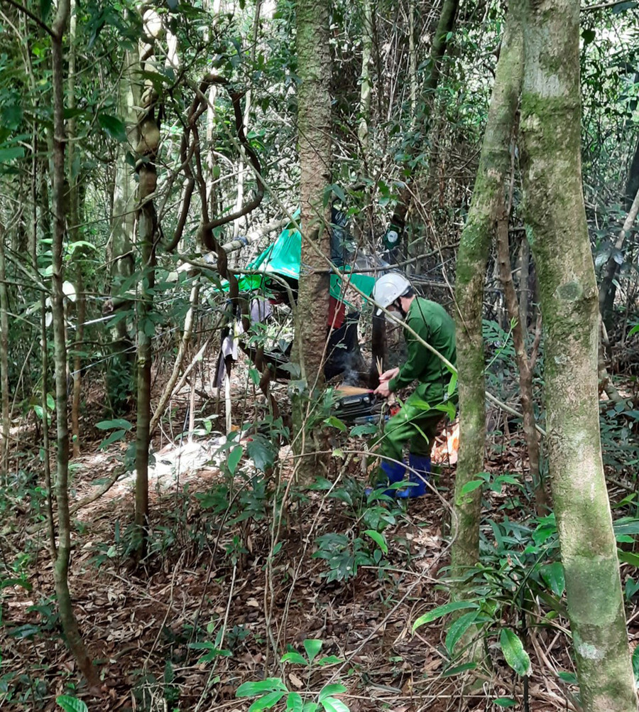 Lán tạm các nạn nhân che bằng áo mưa. Ảnh: Lê Anh