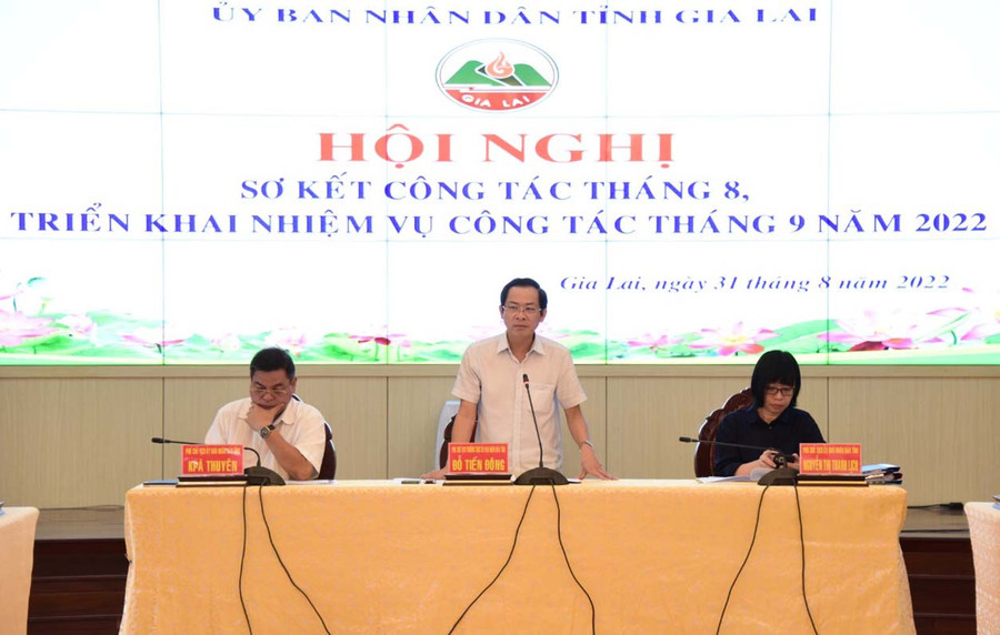 Phó Chủ tịch Thường trực UBND tỉnh Đỗ Tiến Đông phát biểu chỉ đạo hội nghị. Đức Thụy