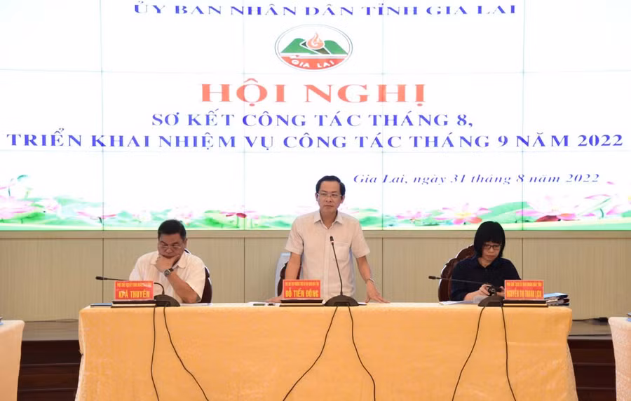 Phó Chủ tịch Thường trực UBND tỉnh Đỗ Tiến Đông phát biểu chỉ đạo hội nghị. Đức Thụy