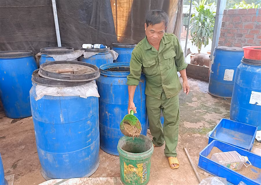Lão nông Lê Hùng Anh (tổ 7, phường Yên Thế) ủ thức ăn hữu cơ cho vật nuôi từ ấu trùng ruồi lính đen. Ảnh: Mộc Trà
