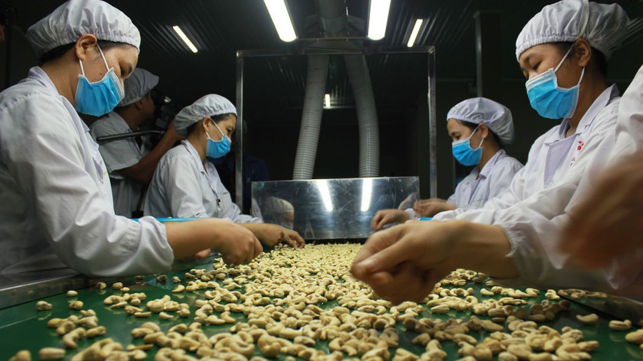 Xuất khẩu nhiều mặt hàng nông sản đang có xu hướng giảm. Ảnh: Chí Nhân Xuất khẩu nhiều mặt hàng nông sản đang có xu hướng giảm. Ảnh: Chí Nhân