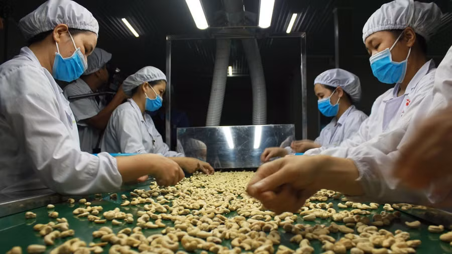 Xuất khẩu nhiều mặt hàng nông sản đang có xu hướng giảm. Ảnh: Chí Nhân