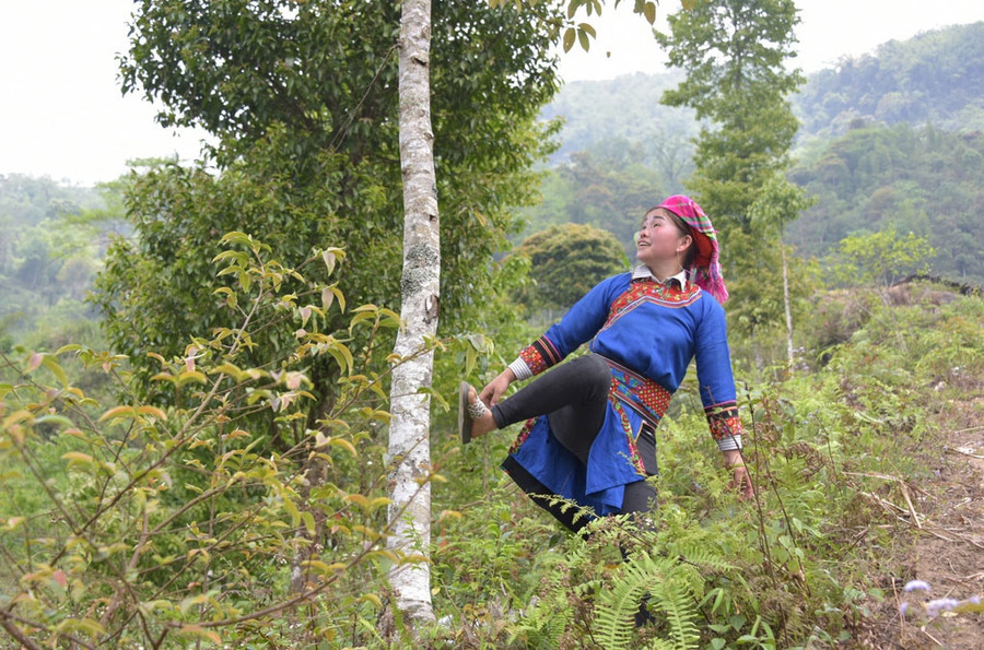 Xuân, cô gái người Hoa Hán tung cước rung cây để Tu Pù rơi xuống đất