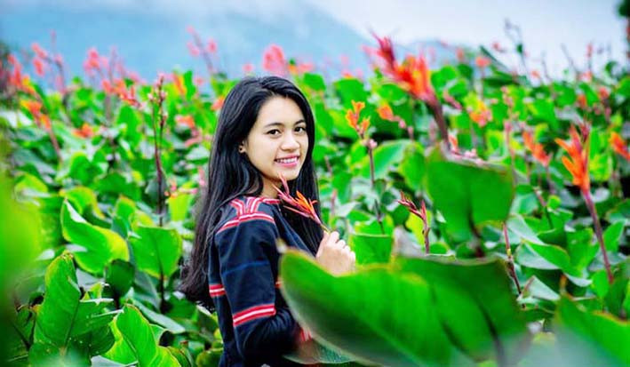  Thiếu nữ bên hoa dong riềng. Ảnh: Doãn Vinh