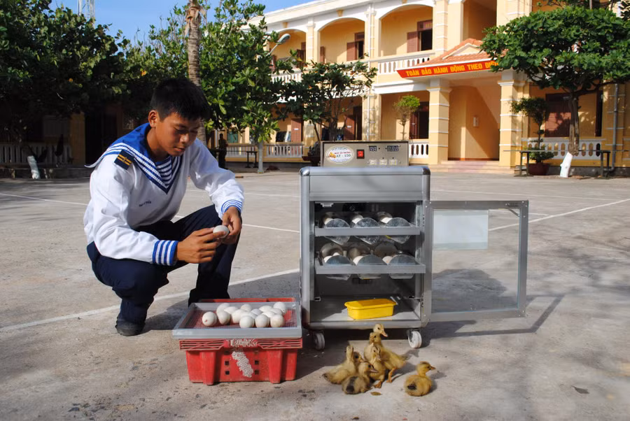 Những chú vịt đầu tiên ở đảo Trường Sa Đông nở ra từ máy ấp trứng. Những chú vịt đầu tiên ở đảo Trường Sa Đông nở ra từ máy ấp trứng.