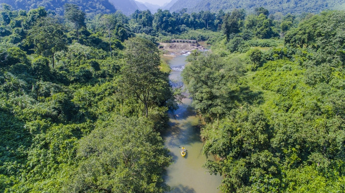 Rừng tự nhiên ở VQG Phong Nha - Kẻ Bàng, nơi ghi nhận sự xuất hiện của nhiều loài thú quý hiếm