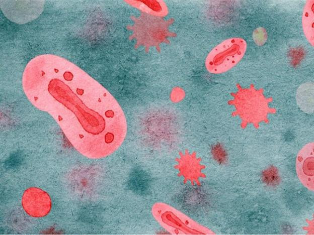 WHO xem xét khả năng đột biến của virus đậu mùa khỉ, các nghiên cứu đang được tiến hành. Ảnh: Suckhoedoisong.