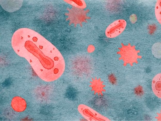 WHO xem xét khả năng đột biến của virus đậu mùa khỉ, các nghiên cứu đang được tiến hành. Ảnh: Suckhoedoisong.