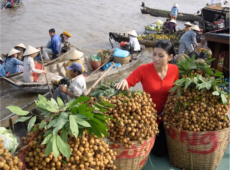 Du khách hào hứng thưởng thức các loại hoa trái miệt vườn khi đi du lịch miền Tây. Ảnh: wikitravel