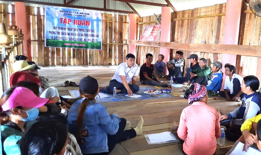 Cán bộ Trung tâm Dịch vụ nông nghiệp thị xã An Khê trao đổi kiến thức cơ bản trong sản xuất lúa nước cho người dân làng Pơ Nang (xã Tú An). Ảnh: Ngọc Minh 