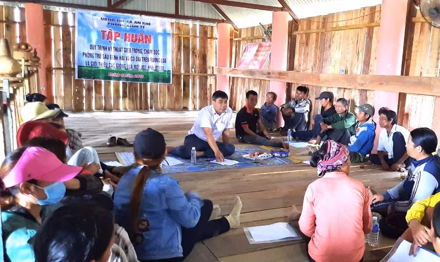 Cán bộ Trung tâm Dịch vụ nông nghiệp thị xã An Khê trao đổi kiến thức cơ bản trong sản xuất lúa nước cho người dân làng Pơ Nang (xã Tú An). Ảnh: Ngọc Minh 