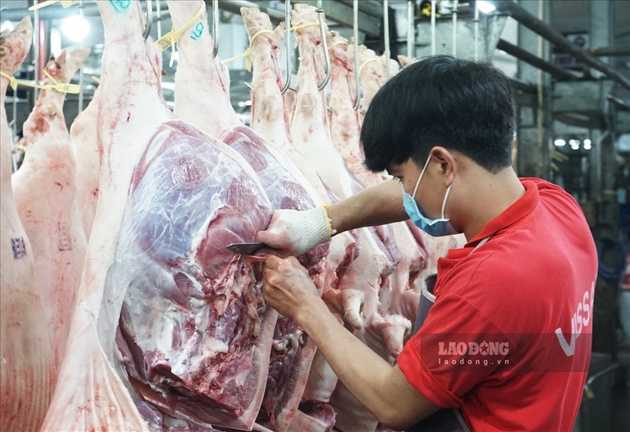 Giá thịt heo tăng nóng, nhưng nông dân không thể hạ giá khi thức ăn chăn nuôi không như xăng, đã tăng 20 lần và khi chúng ta phải nhập cả ngô về làm cám nuôi lợn. Ảnh: Thanh Chân Giá thịt heo tăng nóng, nhưng nông dân không thể hạ giá khi thức ăn chăn nuôi không như xăng, đã tăng 20 lần và khi chúng ta phải nhập cả ngô về làm cám nuôi lợn. Ảnh: Thanh Chân