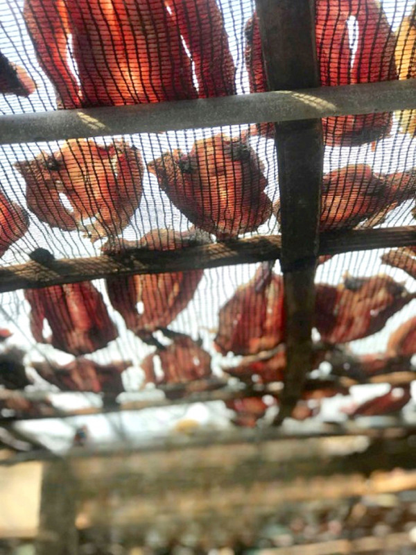 Mùi cá phơi trong nắng có sức quyến rũ lạ lùng.