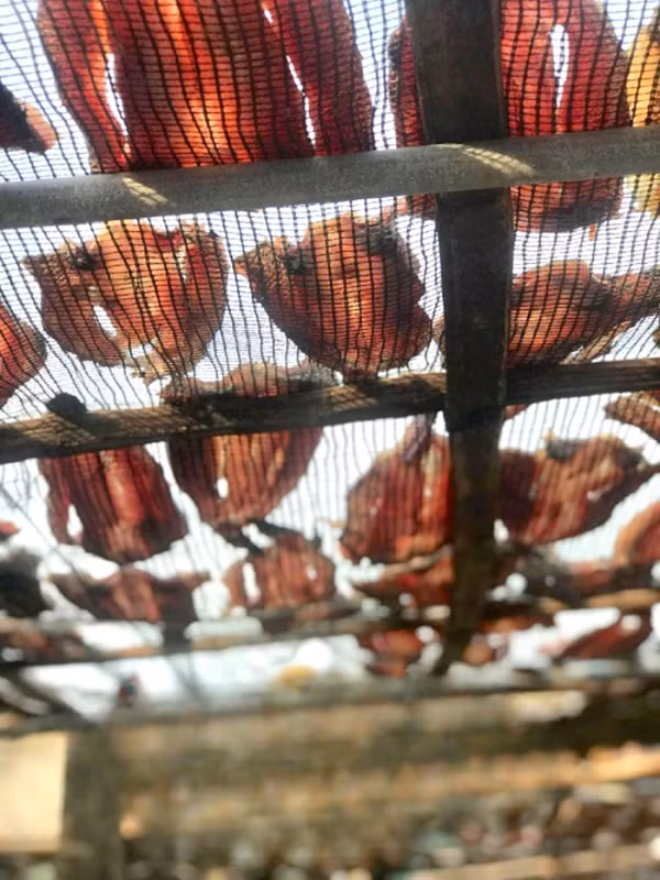 Mùi cá phơi trong nắng có sức quyến rũ lạ lùng.